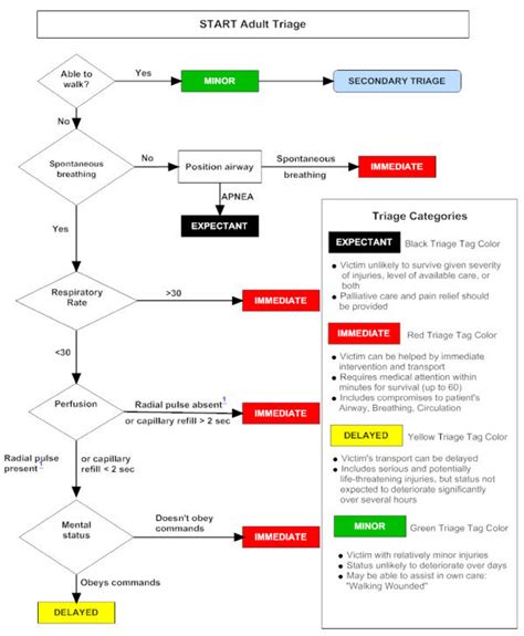 start adult triage